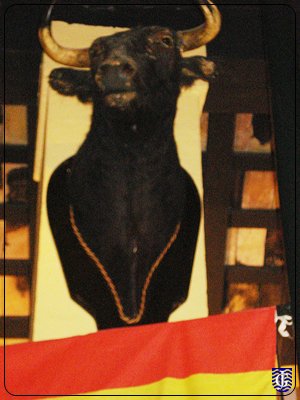 Museo Taurino en Jerez