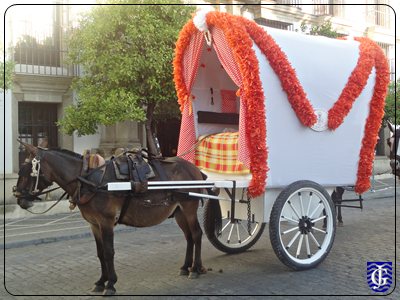 Hermandad del Rocio de Jerez