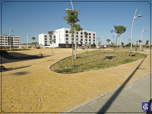 Calle naturalista Charles Darwin en Jerez