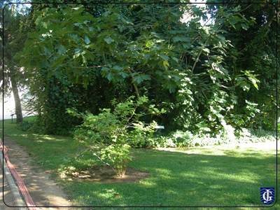 Zoo_Botanico_Jerez_Plantas_11.jpg